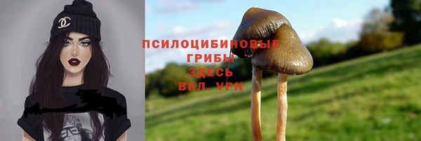 молекула духа Алексеевка
