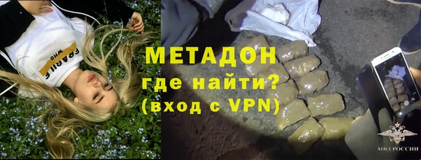гидра Няндома